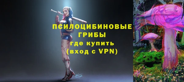 спиды Абаза