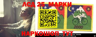 стаф Славгород