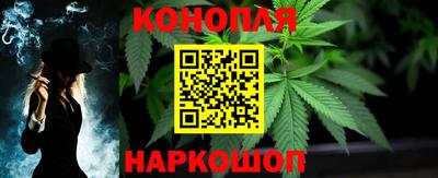 стаф Славгород
