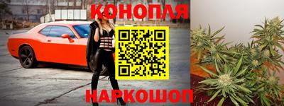 стаф Славгород
