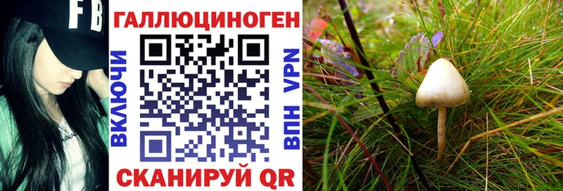 Псилоцибиновые грибы прущие грибы  MEGA вход  Анапа 