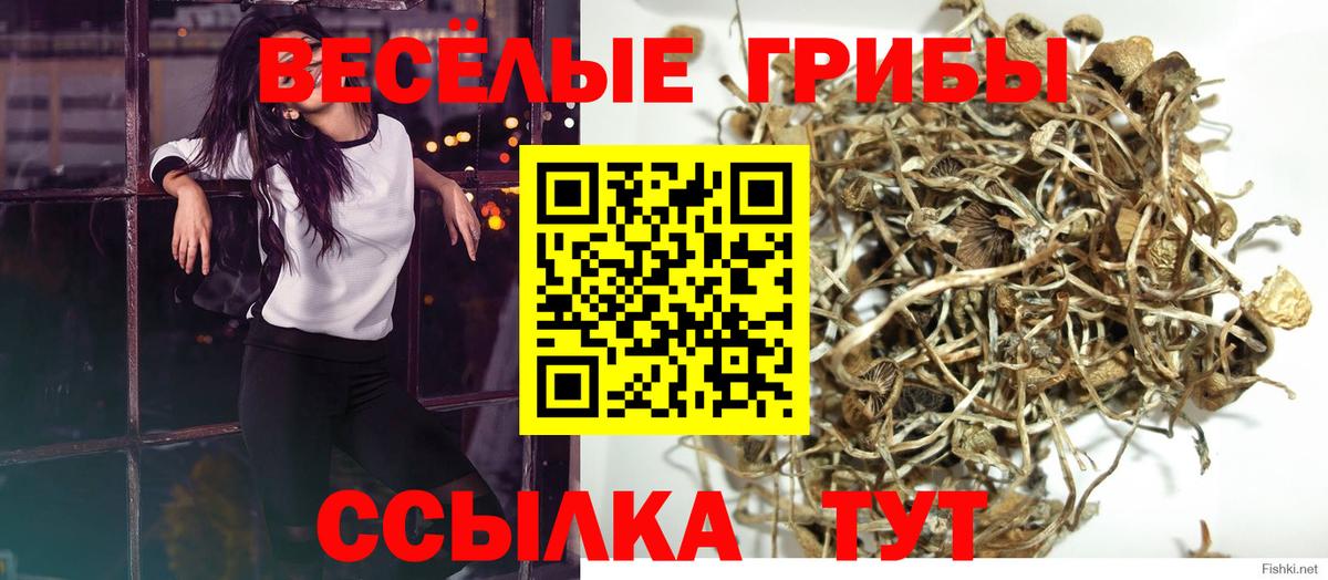 Галлюциногенные грибы ЛСД  Вход с VPN  Анапа 