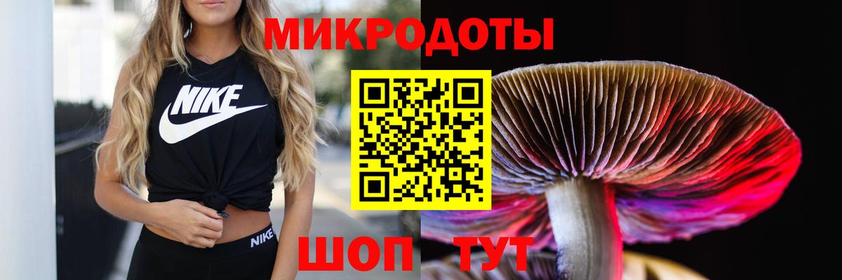 Галлюциногенные грибы Magic Shrooms Анапа